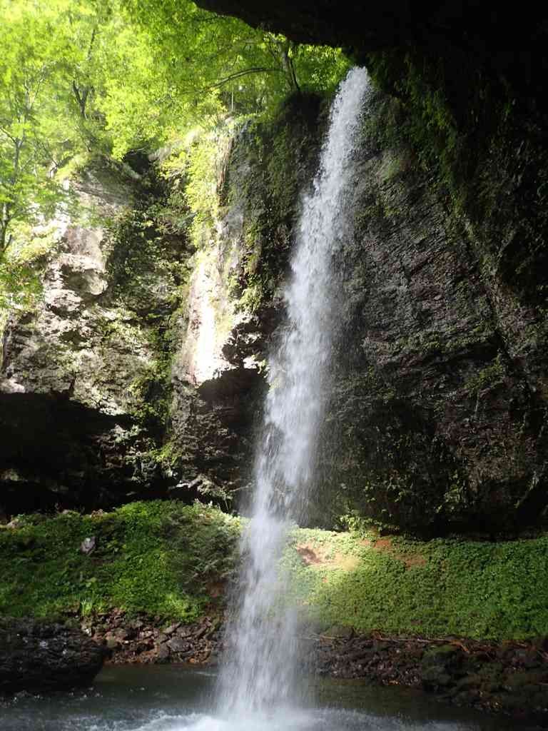 鳥取県八頭郡若桜町のイベント「【要予約】夏涼みピクニック」のイメージ