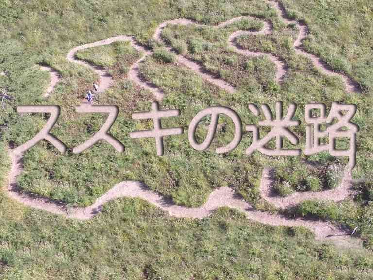 島根県大田市のイベント「ススキの迷路」のイメージ