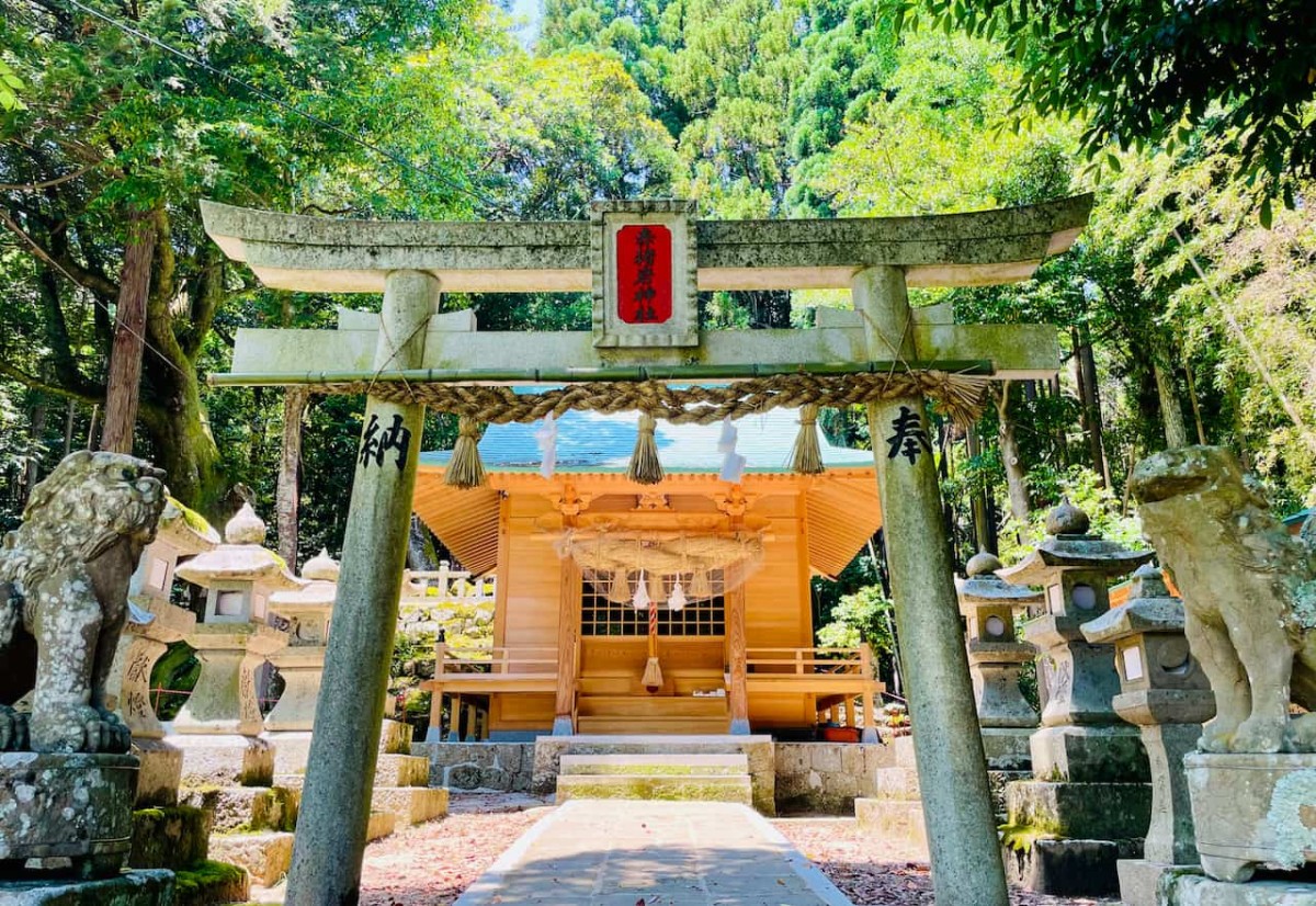 『赤猪岩神社』の鳥居