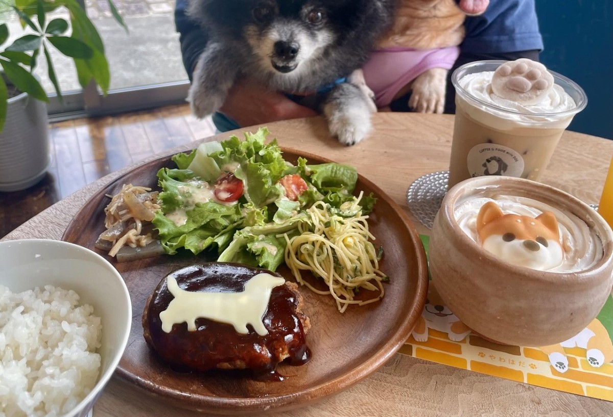 鳥取県鳥取市にオープンした『ドッグカフェフェリース』のメニュー