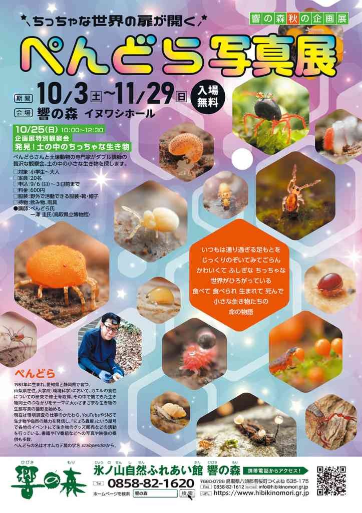 鳥取県八頭郡若桜町のイベント「響の森　秋の企画展「ぺんどら写真展」」のチラシ
