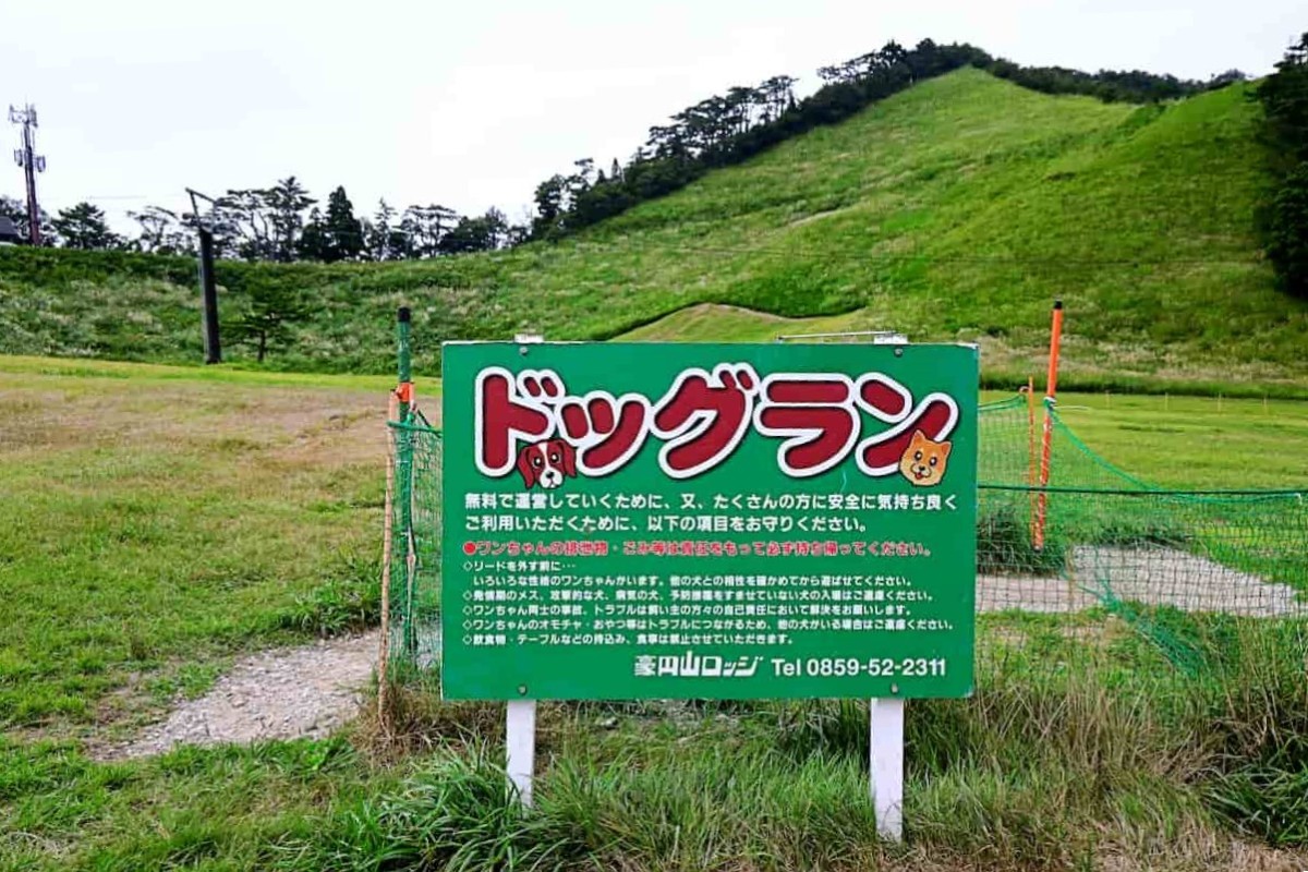 鳥取県西伯郡大山町にある『豪円山ロッジ』の無料ドッグラン