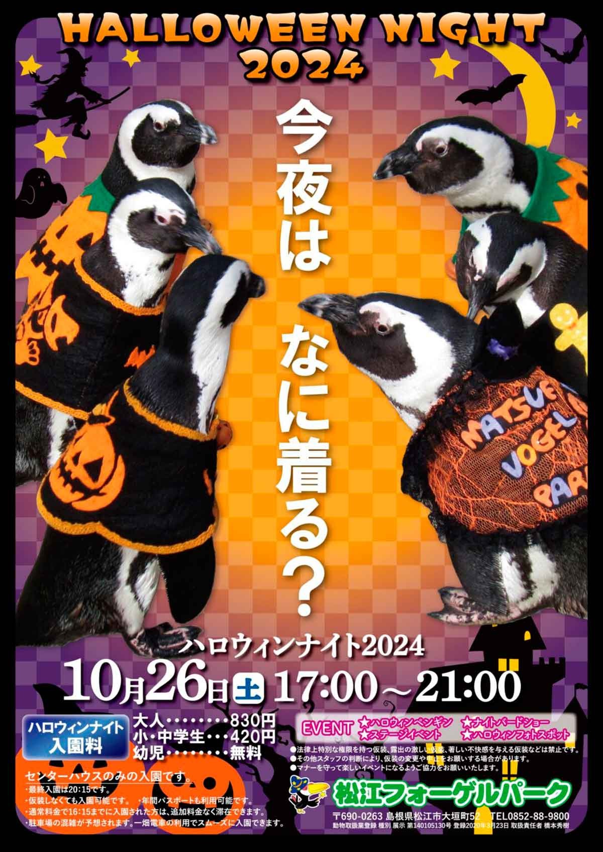 島根県松江市で開催されるイベント「ハロウィンナイト2024」のチラシ