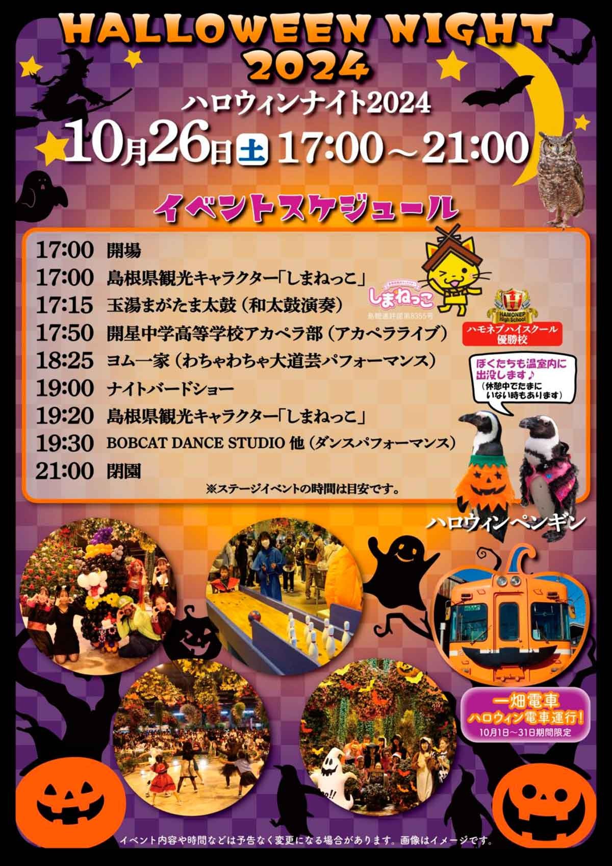 島根県松江市で開催されるイベント「ハロウィンナイト2024」のチラシ