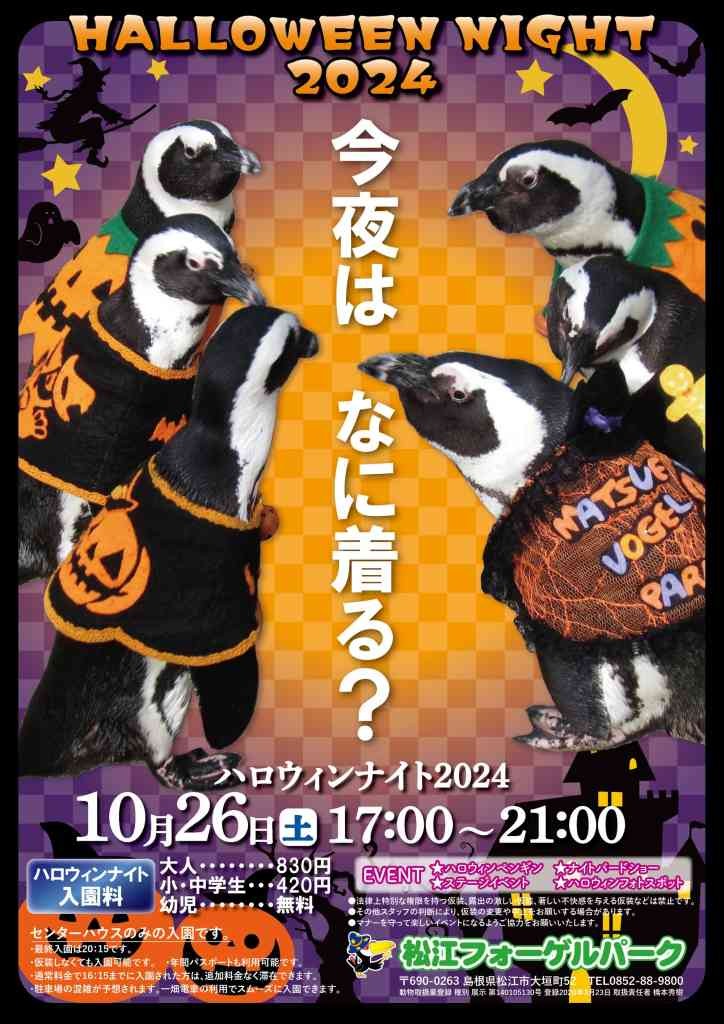 島根県松江市のイベント「ハロウィンナイト2024」のチラシ