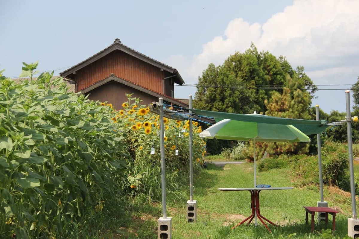 島根県松江市浜佐田町のフラワースポット『よつばひまわり園』の休憩スペース