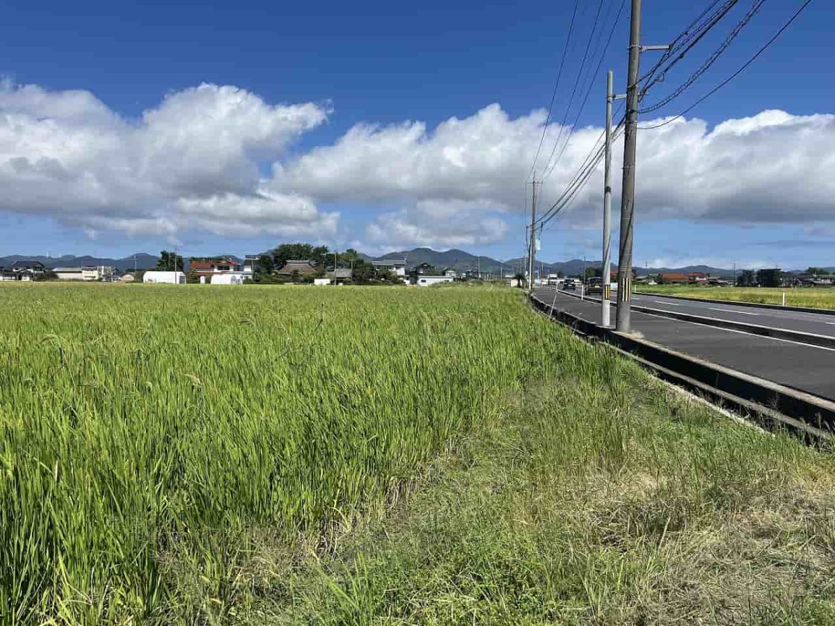 島根県出雲市斐川町の田園