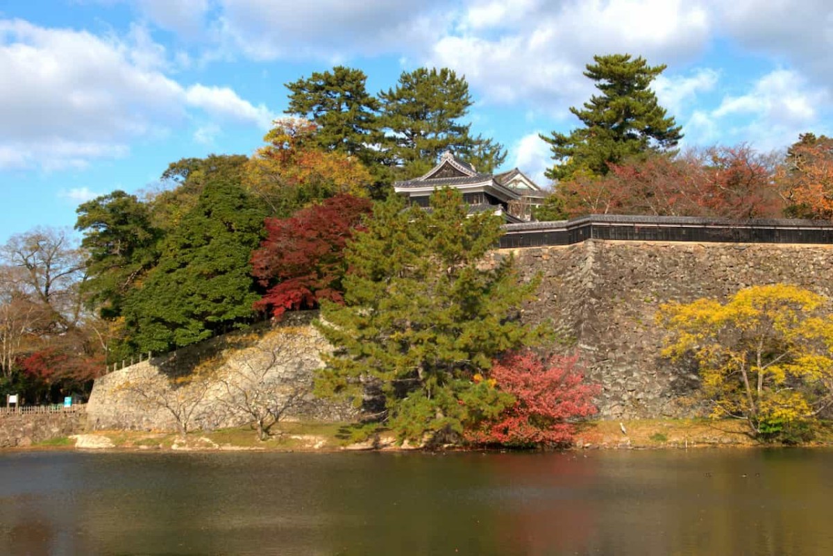 島根県松江市の『松江城山公園』で見える景色_紅葉