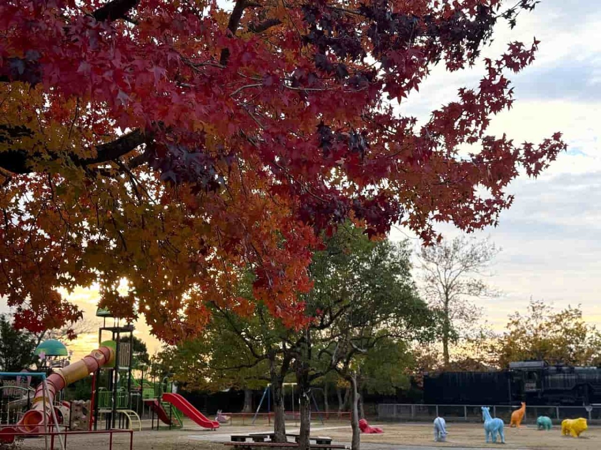 鳥取県米子市にある『湊山公園』の紅葉の様子