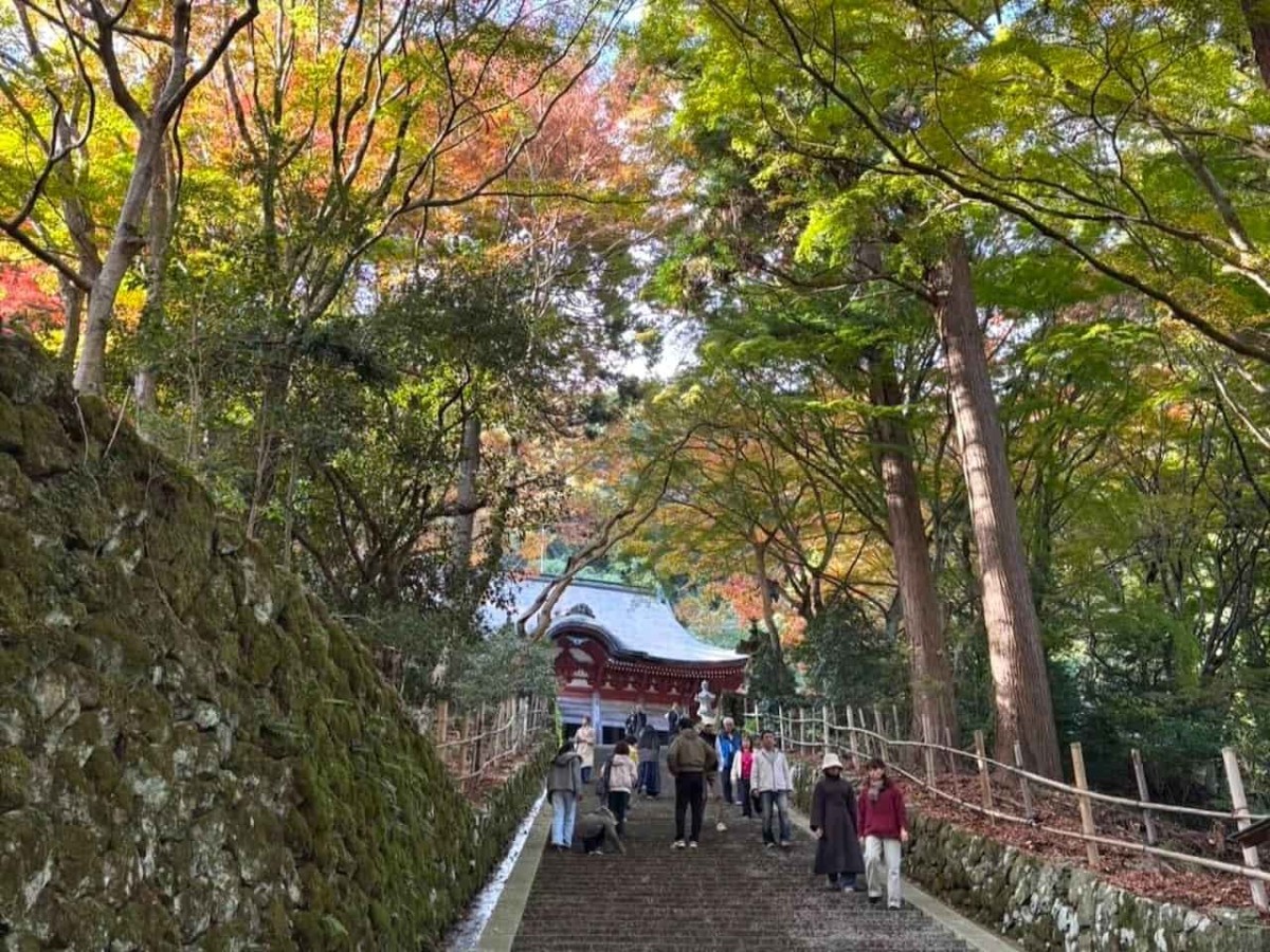 島根県出雲市にある『鰐淵寺』の紅葉