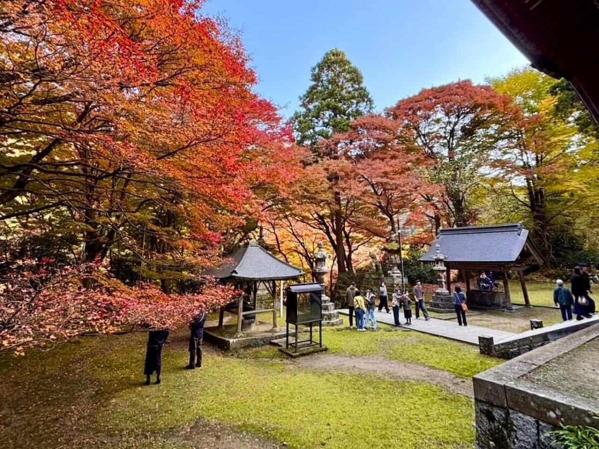 島根県出雲市にある『鰐淵寺』の紅葉