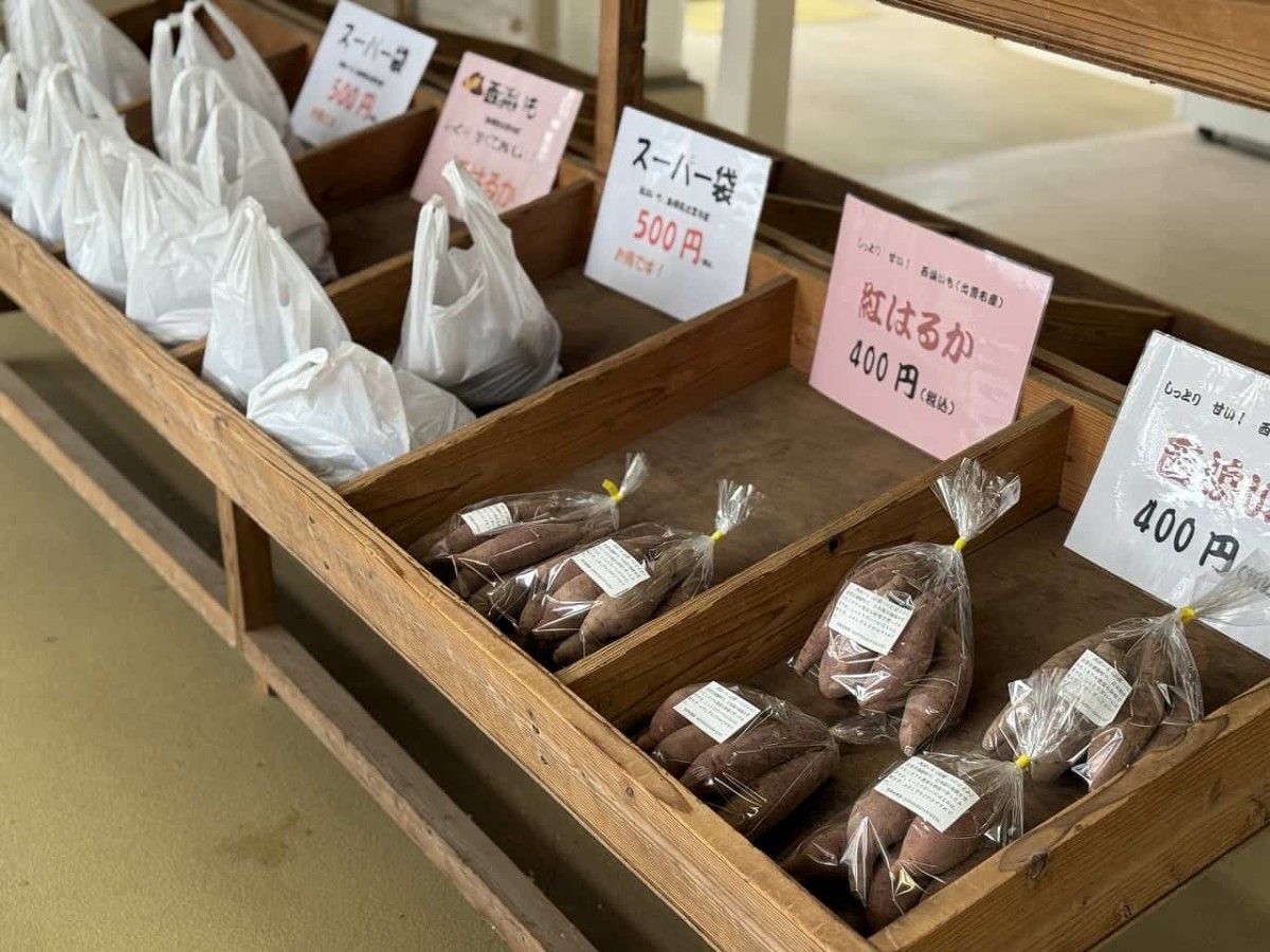 島根県出雲市湖陵町で期間限定オープンしている『どんとこい市場』で販売しているさつまいも「西浜いも」