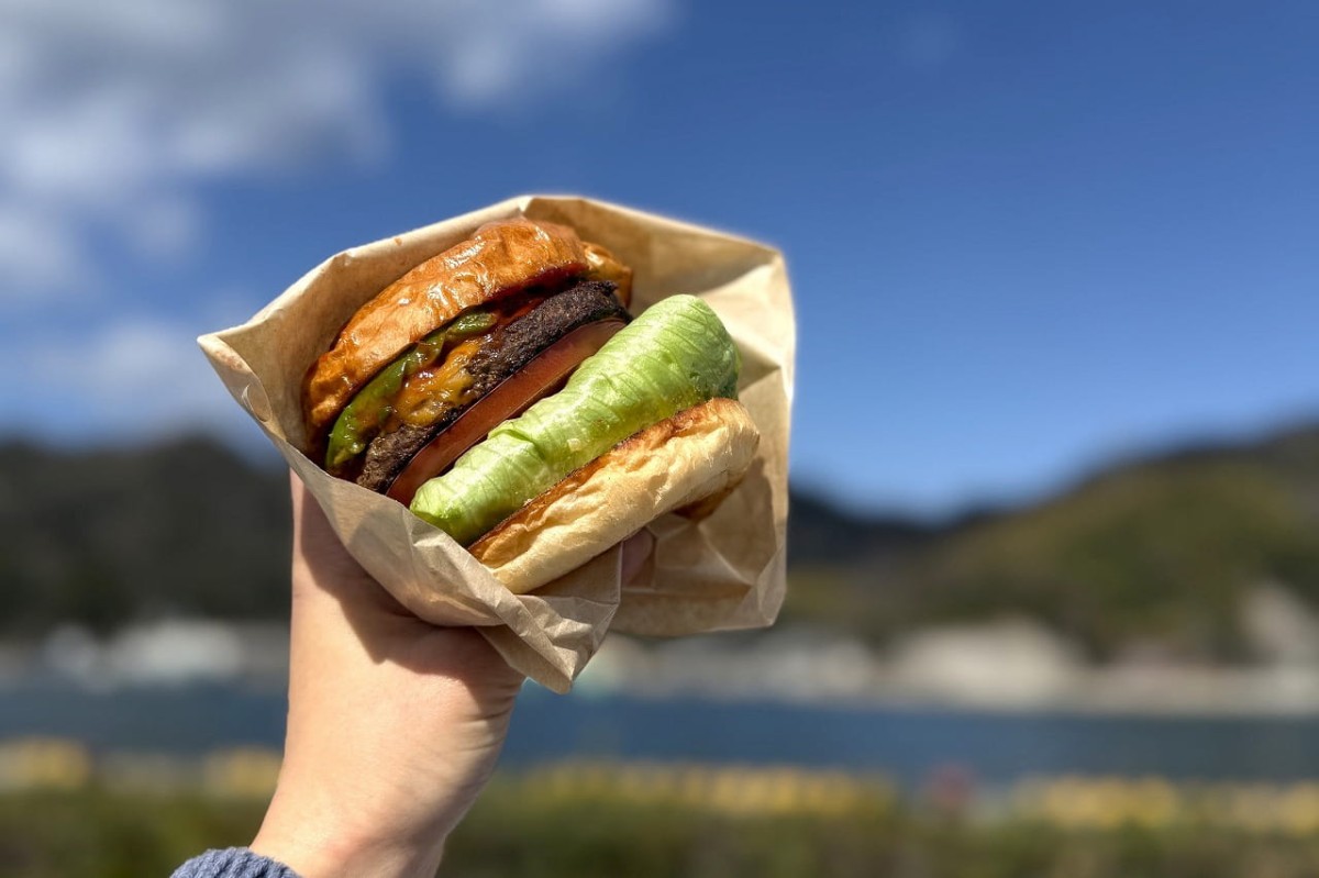 鳥取県境港市にある「おさかなロード」近くの東屋で食べた『sunny』のハンバーガー