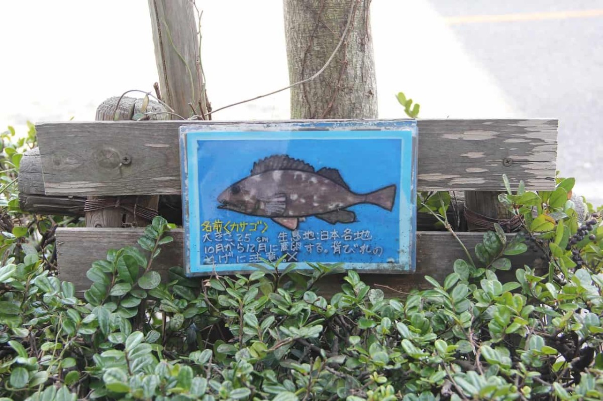 鳥取県境港市にある「おさかなロード」にある魚の絵