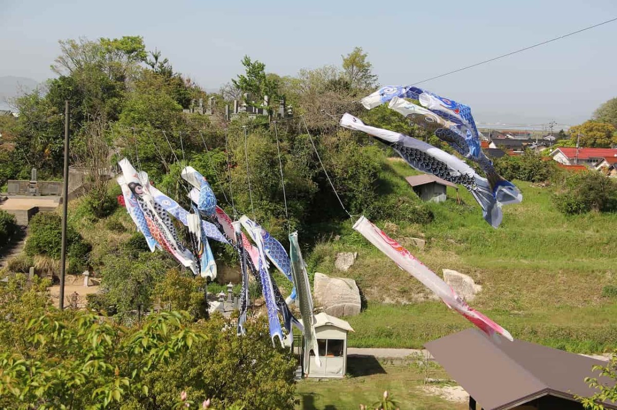 島根県安来市にある『古代出雲王陵の丘』の階段から見たこいのぼり