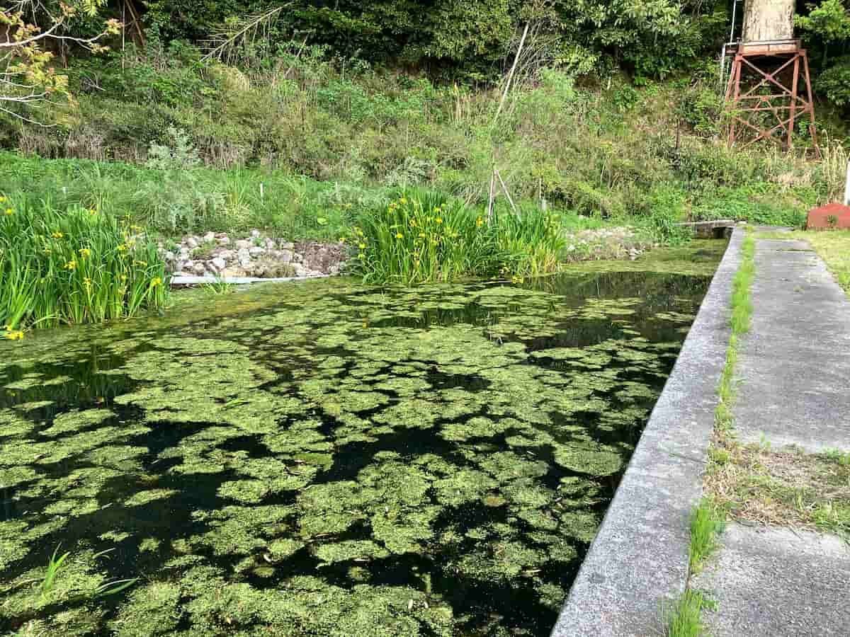島根県松江市にある名水スポット「目無水」