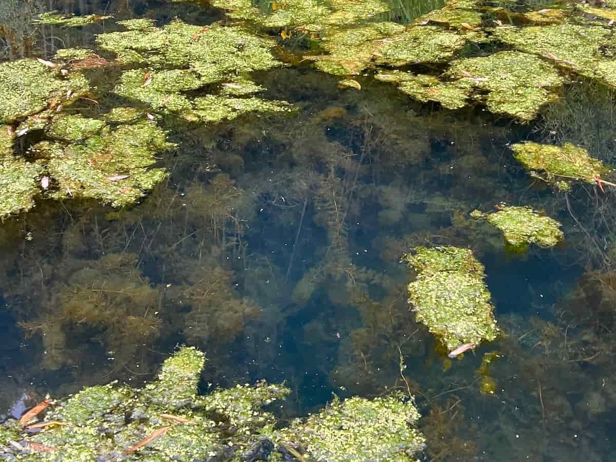 島根県松江市にある名水スポット「目無水」