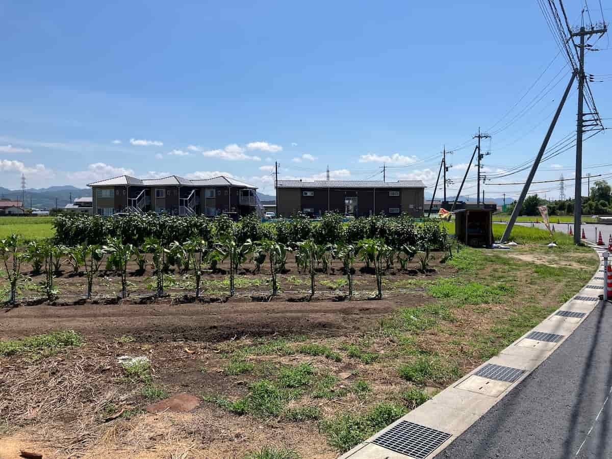 島根県出雲市にある『あだち農園 野菜販売所』の外観風景