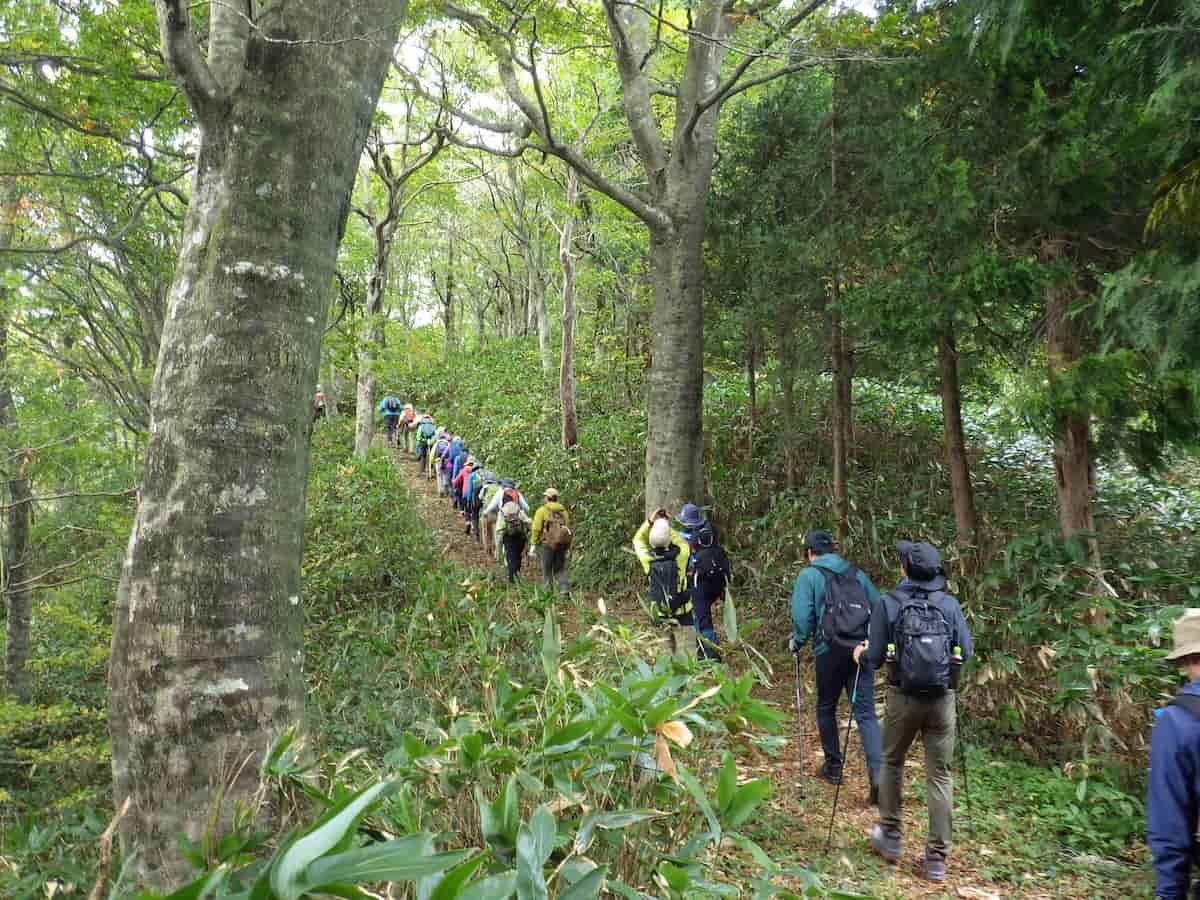「県民の森ふれあい講座」の登山の様子