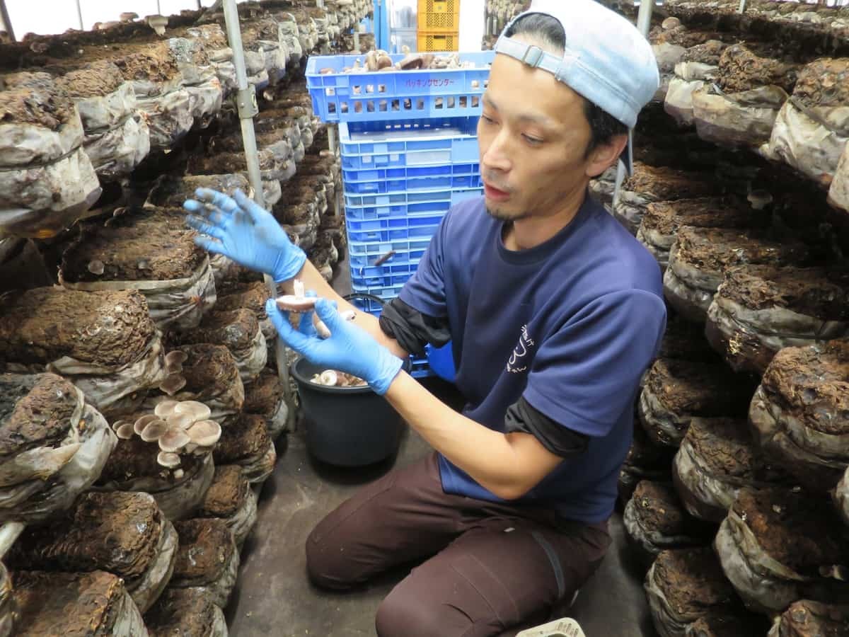 島根県出雲市にある『もっちゃんFARM』のスタッフさん