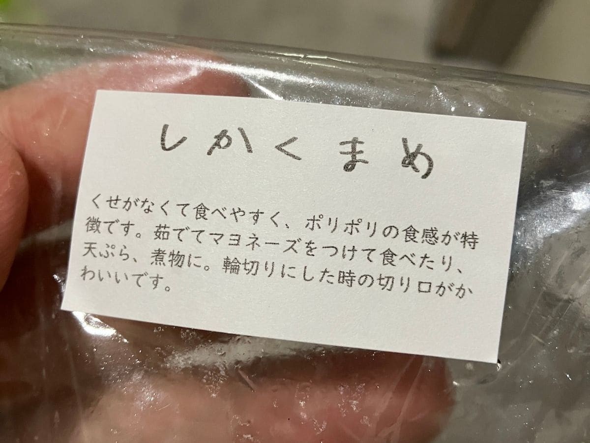 島根県出雲市『SPIRA FARM』で購入した「四角豆」