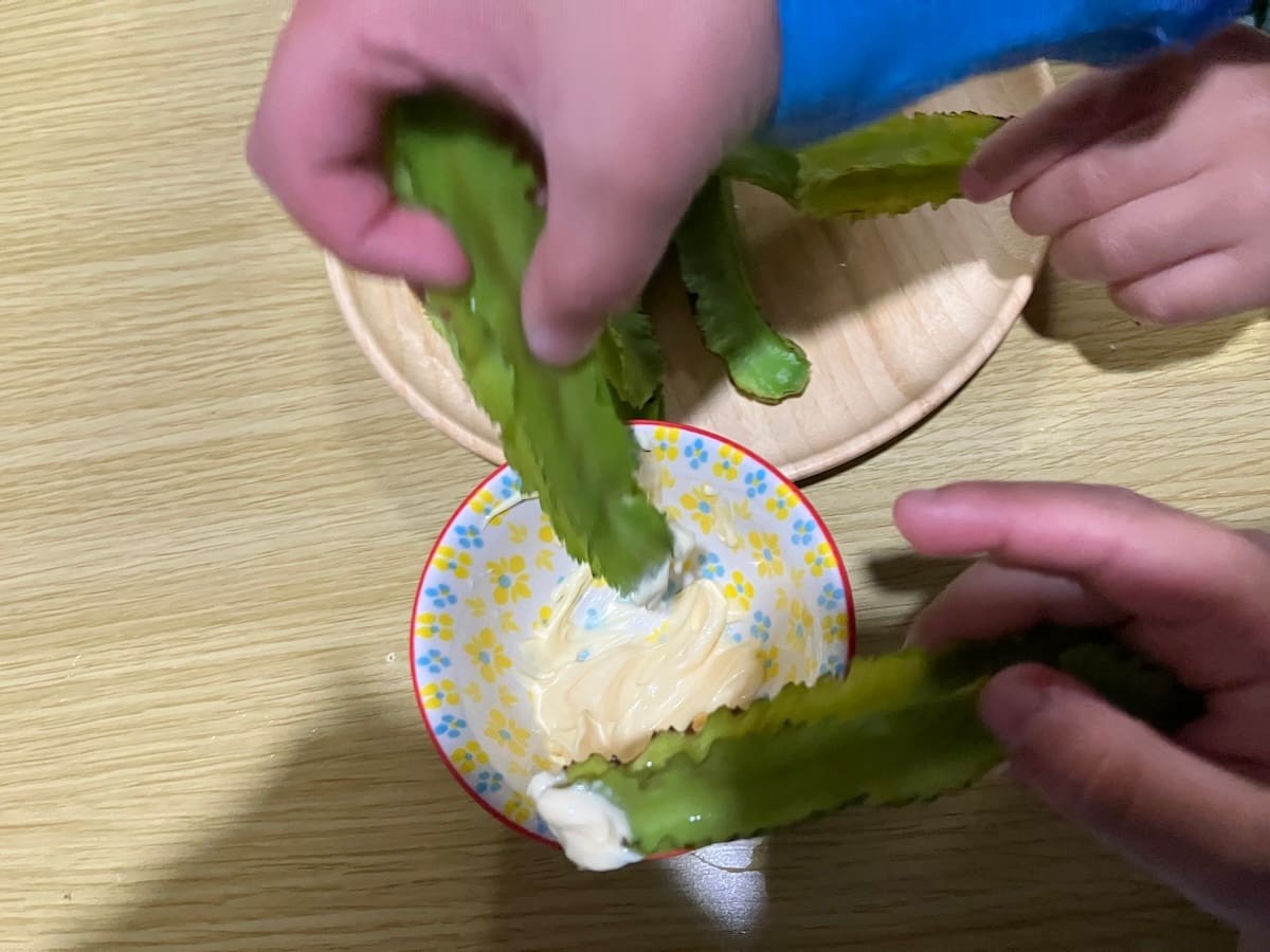 島根県出雲市『SPIRA FARM』で購入した「四角豆」