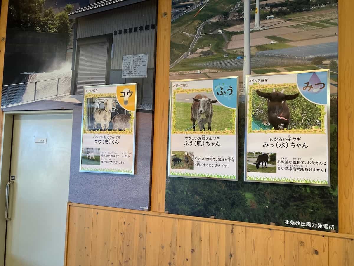 鳥取県米子市『とっとり自然環境館』の内観