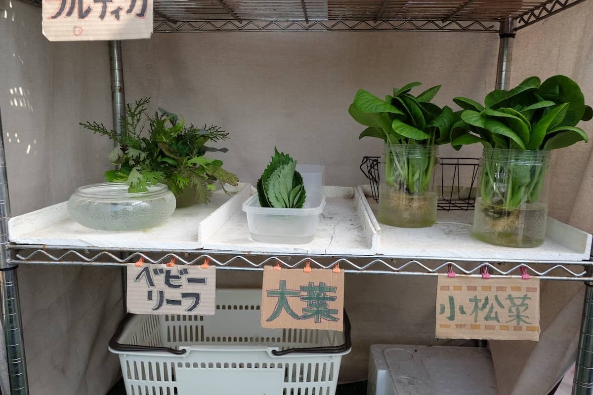 鳥取県境港市芝町にある野菜直売所の葉物野菜