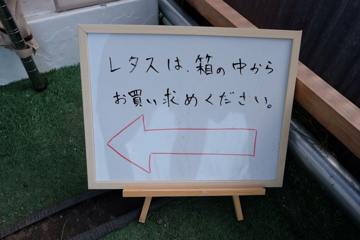 鳥取県境港市芝町にある野菜直売所の「レタス」の案内