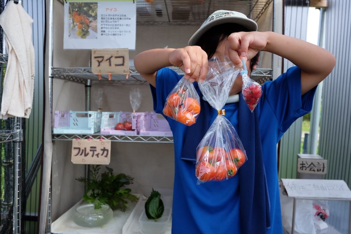 鳥取県境港市芝町にある野菜直売所の様子