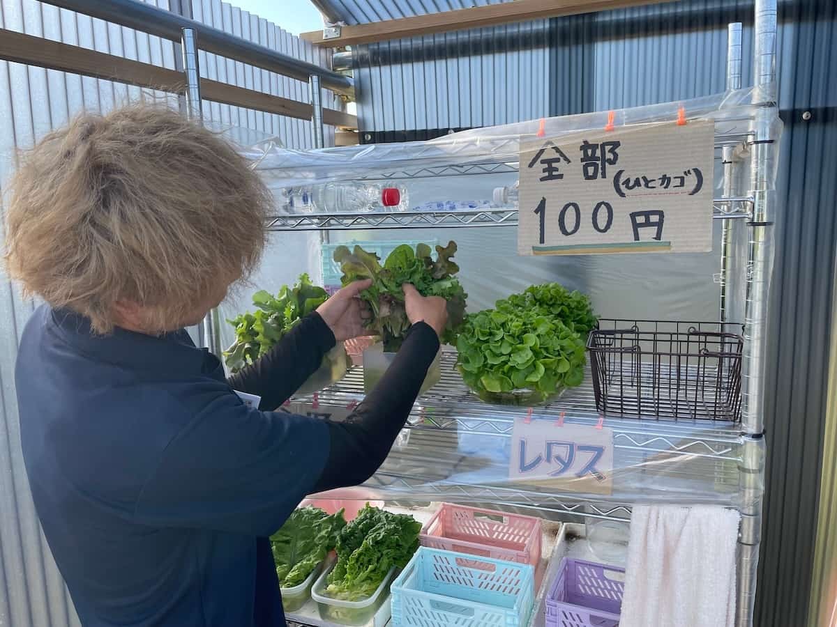 鳥取県境港市芝町にある野菜直売所の様子