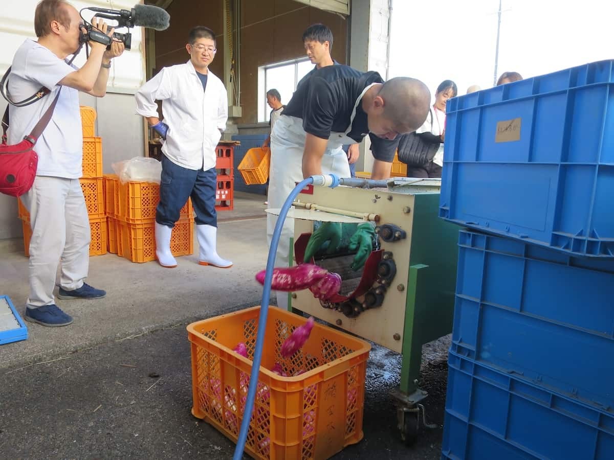 鳥取県米子市の老舗酒蔵『株式会社稲田本店』で開催された「海藻の利活用でつくる芋焼酎プロジェクト」の様子