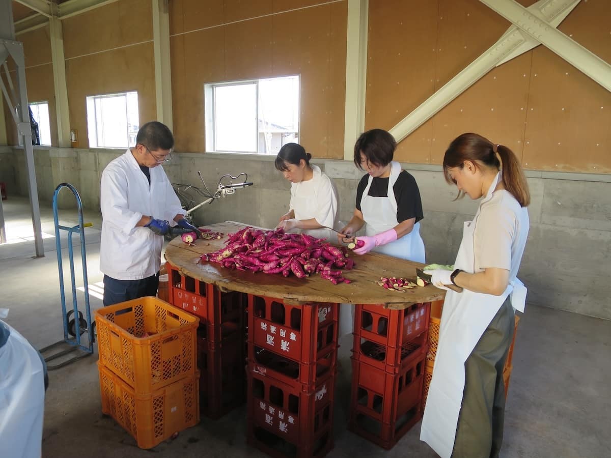 鳥取県米子市の老舗酒蔵『株式会社稲田本店』で開催された「海藻の利活用でつくる芋焼酎プロジェクト」の様子