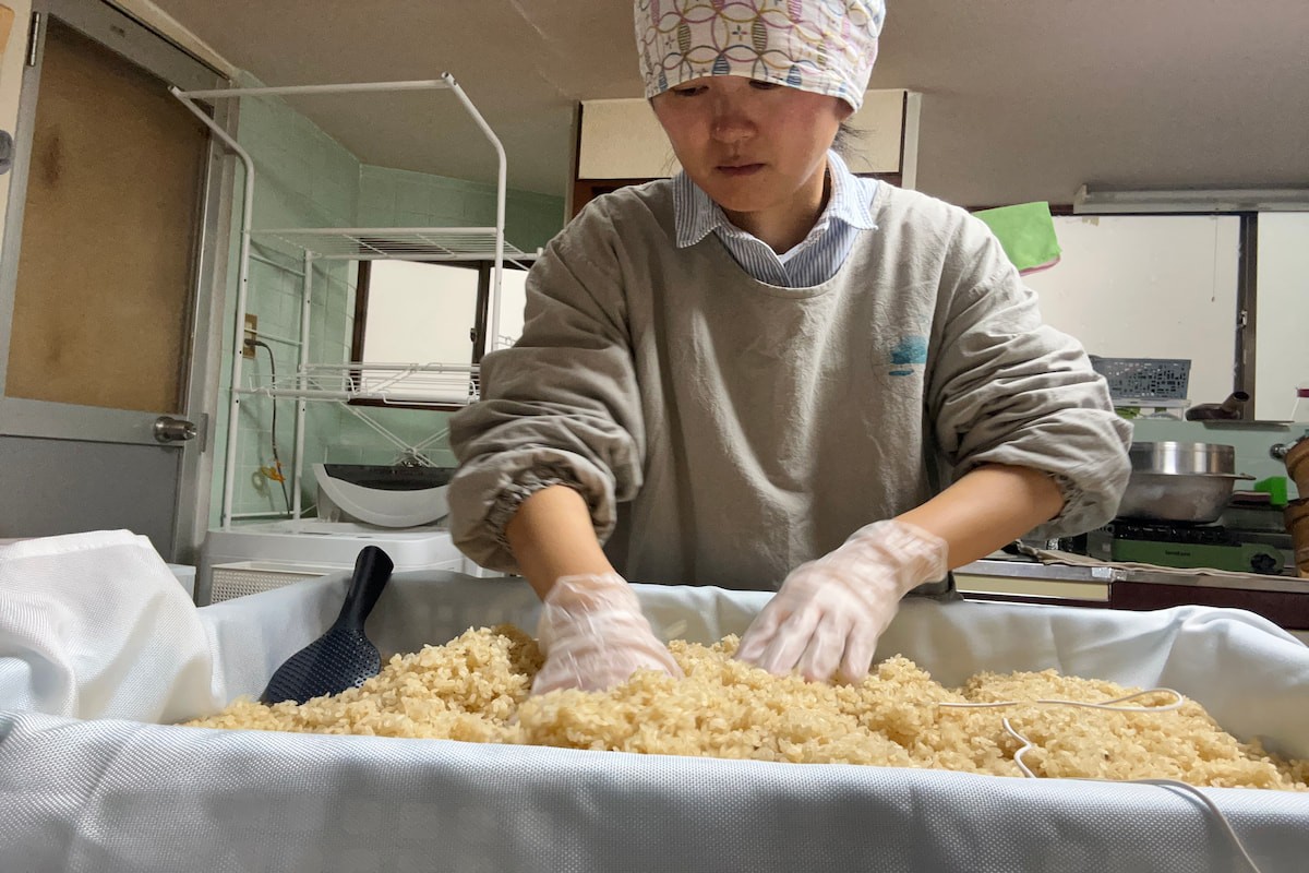 島根県松江市の麹屋『甘酸辛苦』の波多野さんが麹作りをする様子