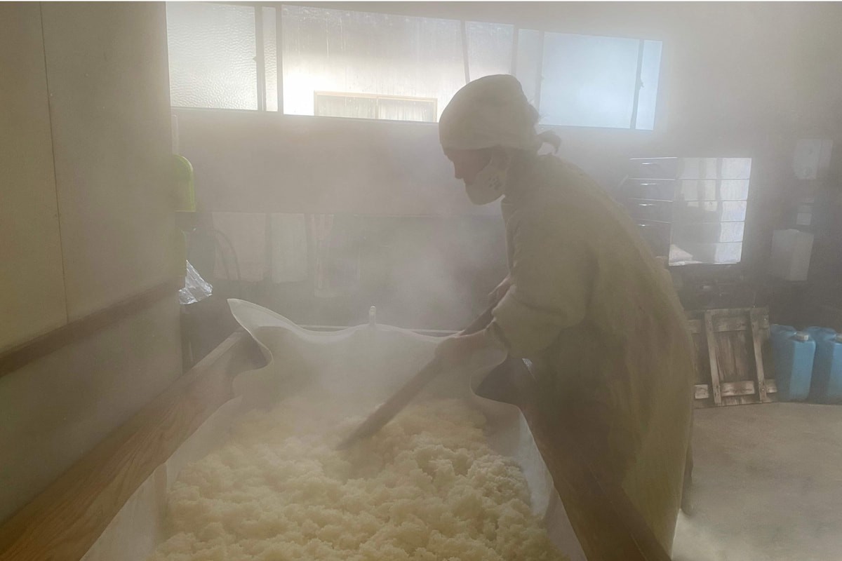 島根県松江市の麹屋『甘酸辛苦』の波多野さんが麹作りをする様子