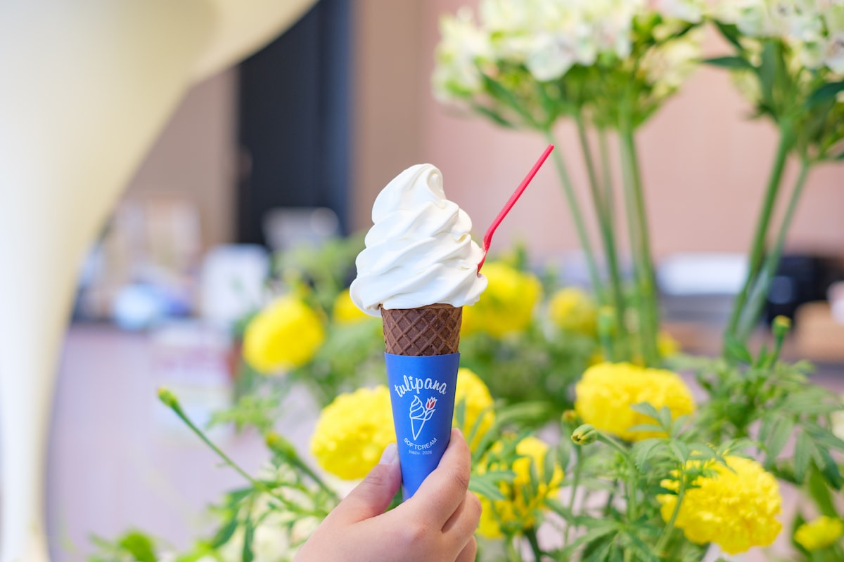 鳥取県日吉津村のソフトクリーム専門店『tulipana』のソフトクリーム