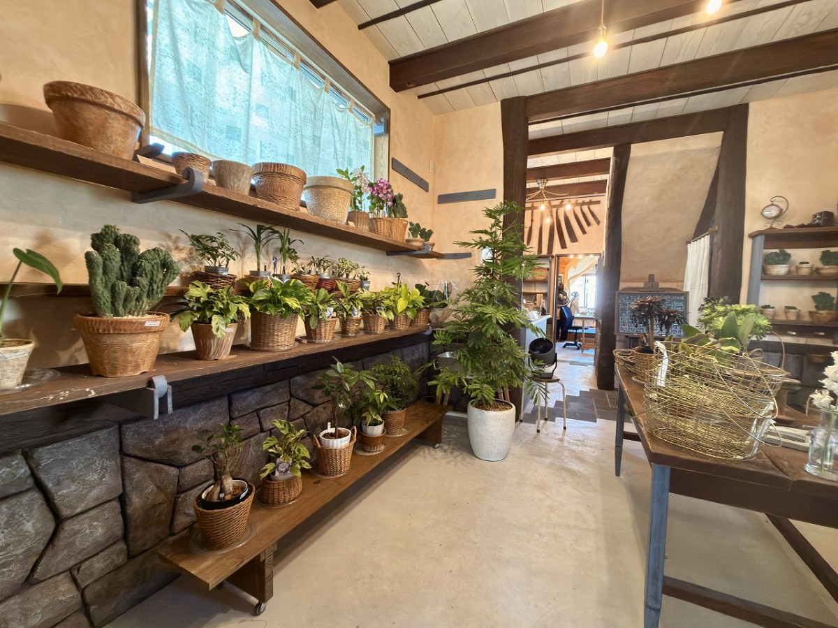 境港市三軒屋町の園芸店『ことりこえんげいてん』の店内