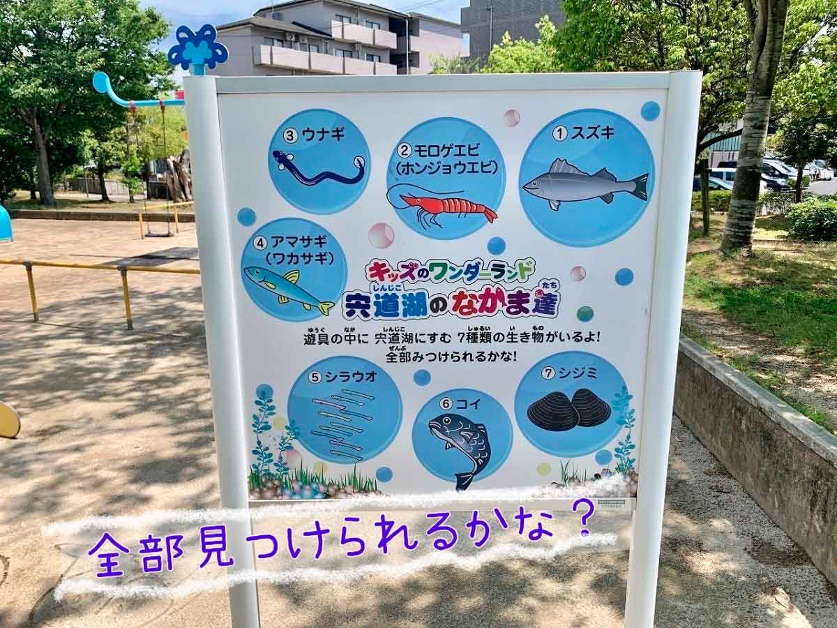 島根県松江市_菅田公園_おすすめ_子連れ_遊び場_人気