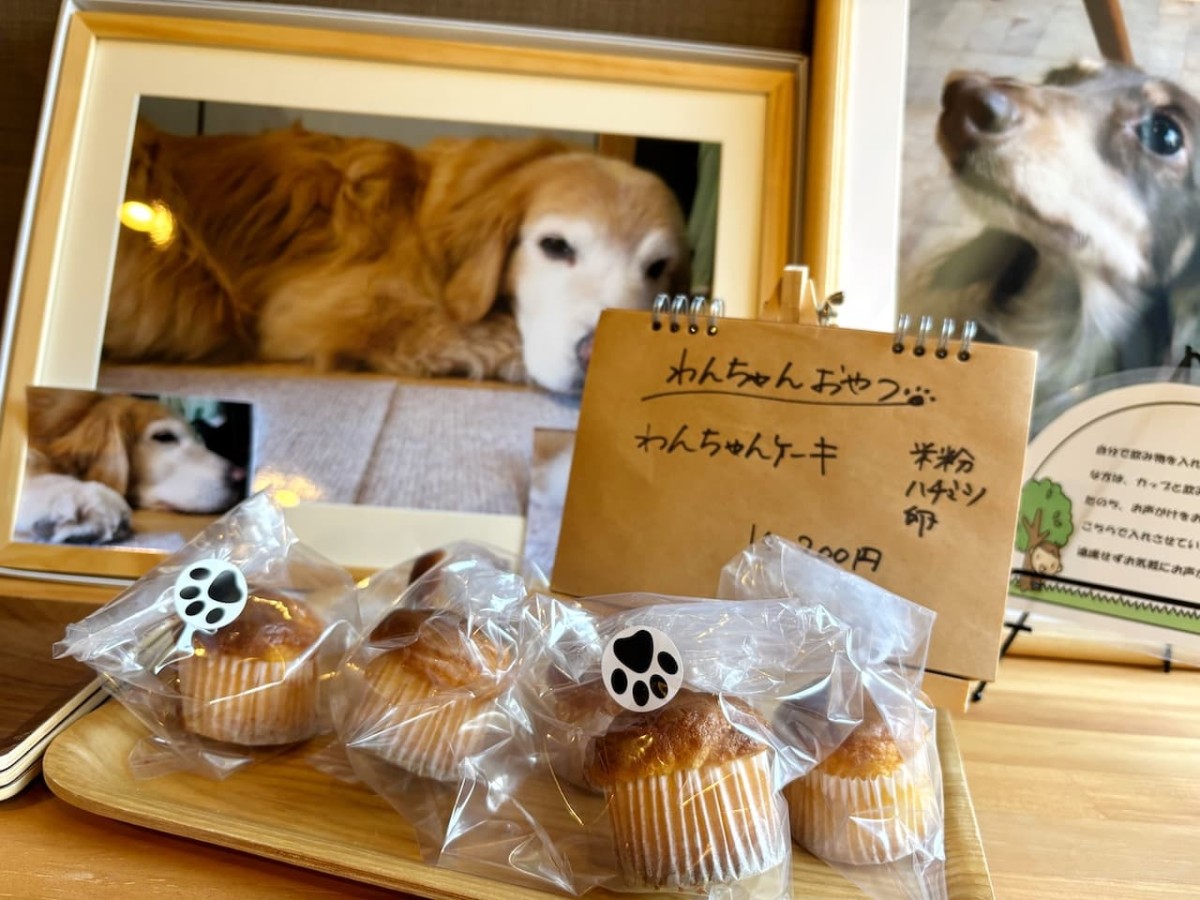 島根県松江市にある犬同伴OKのカフェ『あしあと』の「わんちゃんケーキ」。