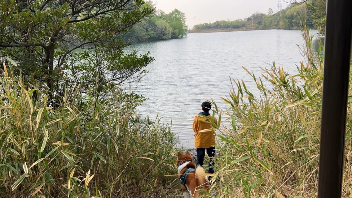 島根県江津市にある『菰沢公園オートキャンプ場』でバス釣りをする様子