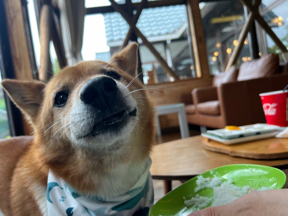 島根県大田市にある三瓶バーガー