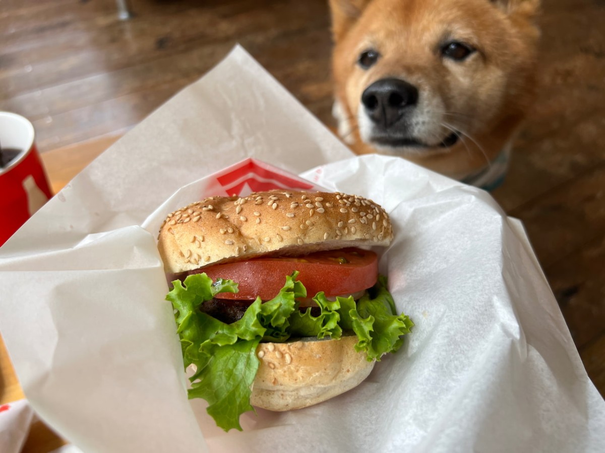 島根県大田市にある三瓶バーガー