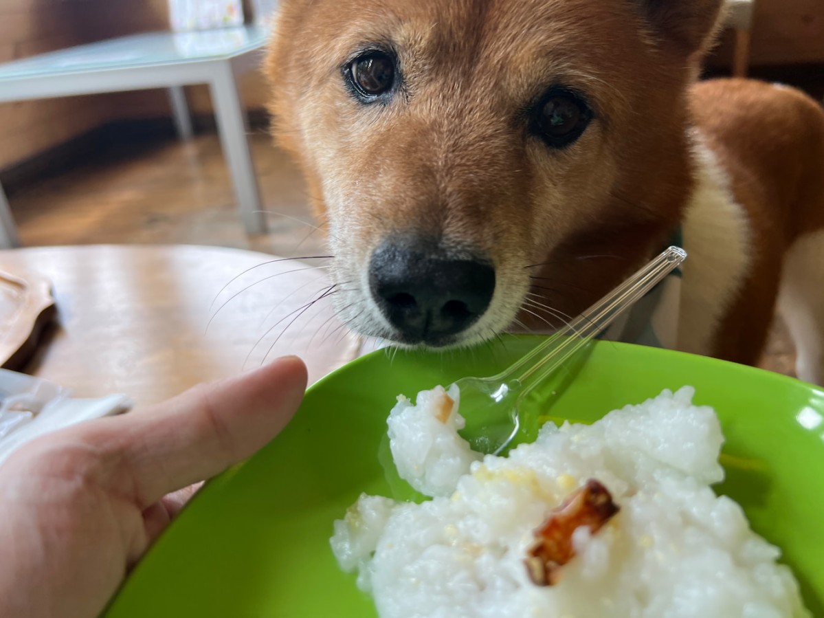 島根県大田市にある三瓶バーガー
