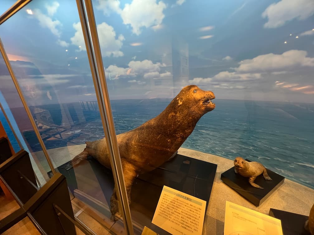 島根県立三瓶自然館サヒメル