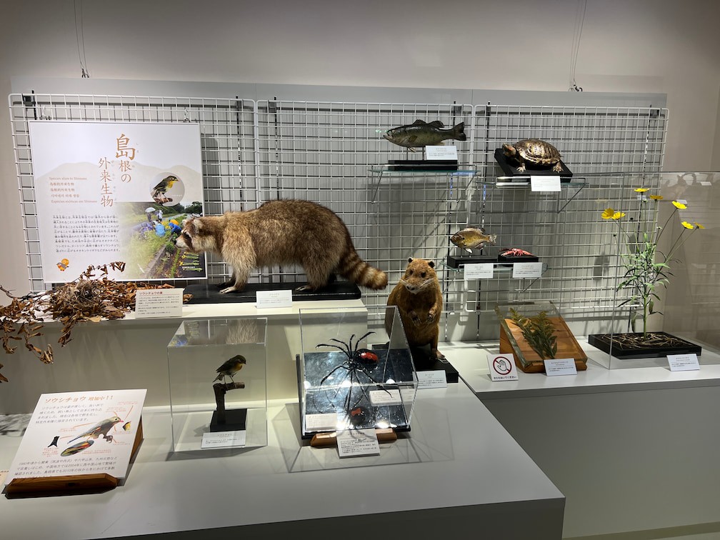 島根県大田市にある三瓶自然館サヒメル