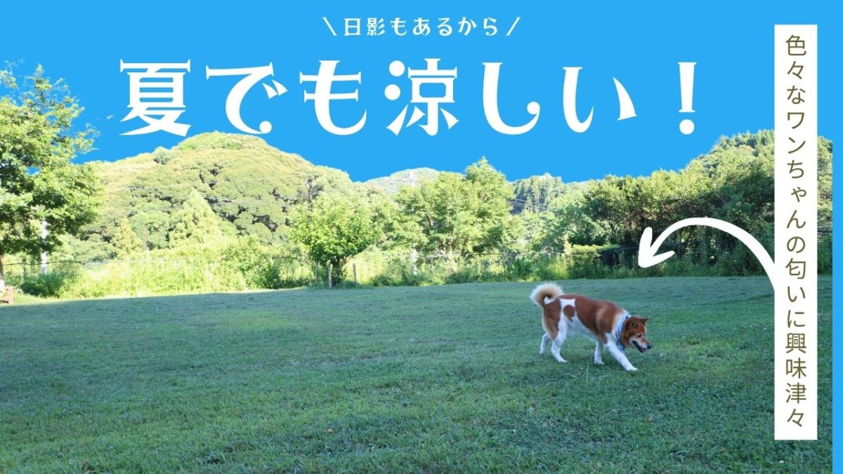 島根県大田市にある空庭ドッグラン