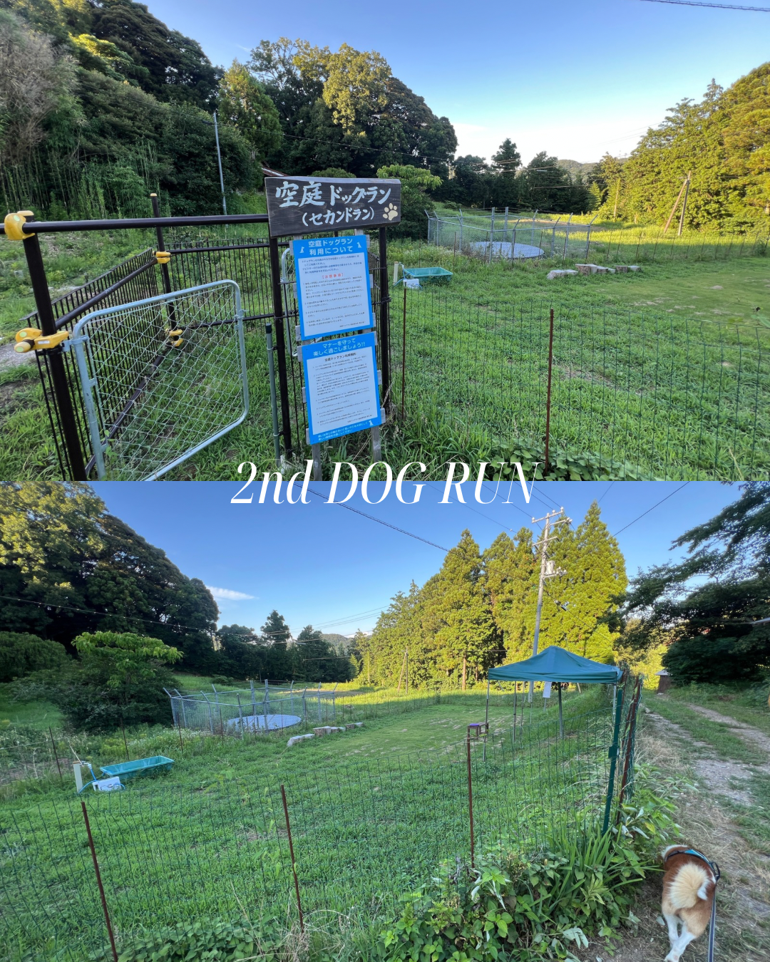 島根県大田市にある空庭ドッグランの「第2ドッグラン」広場の様子