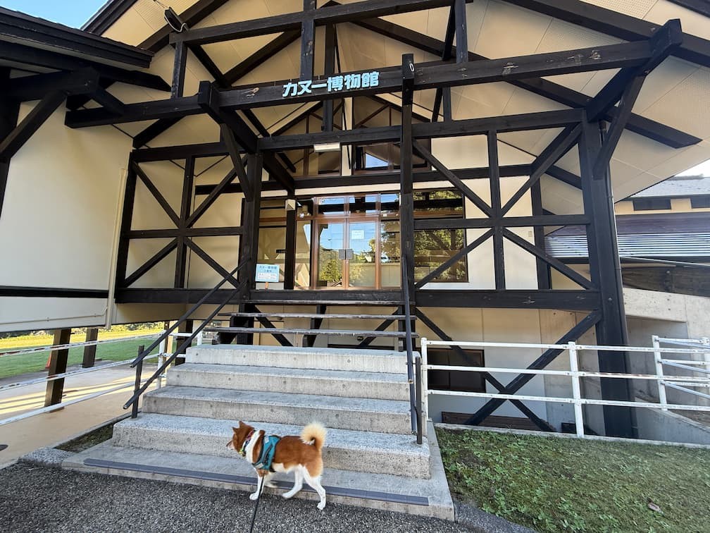 美郷町「カヌーの里おおちオートキャンプ場」カヌー博物館