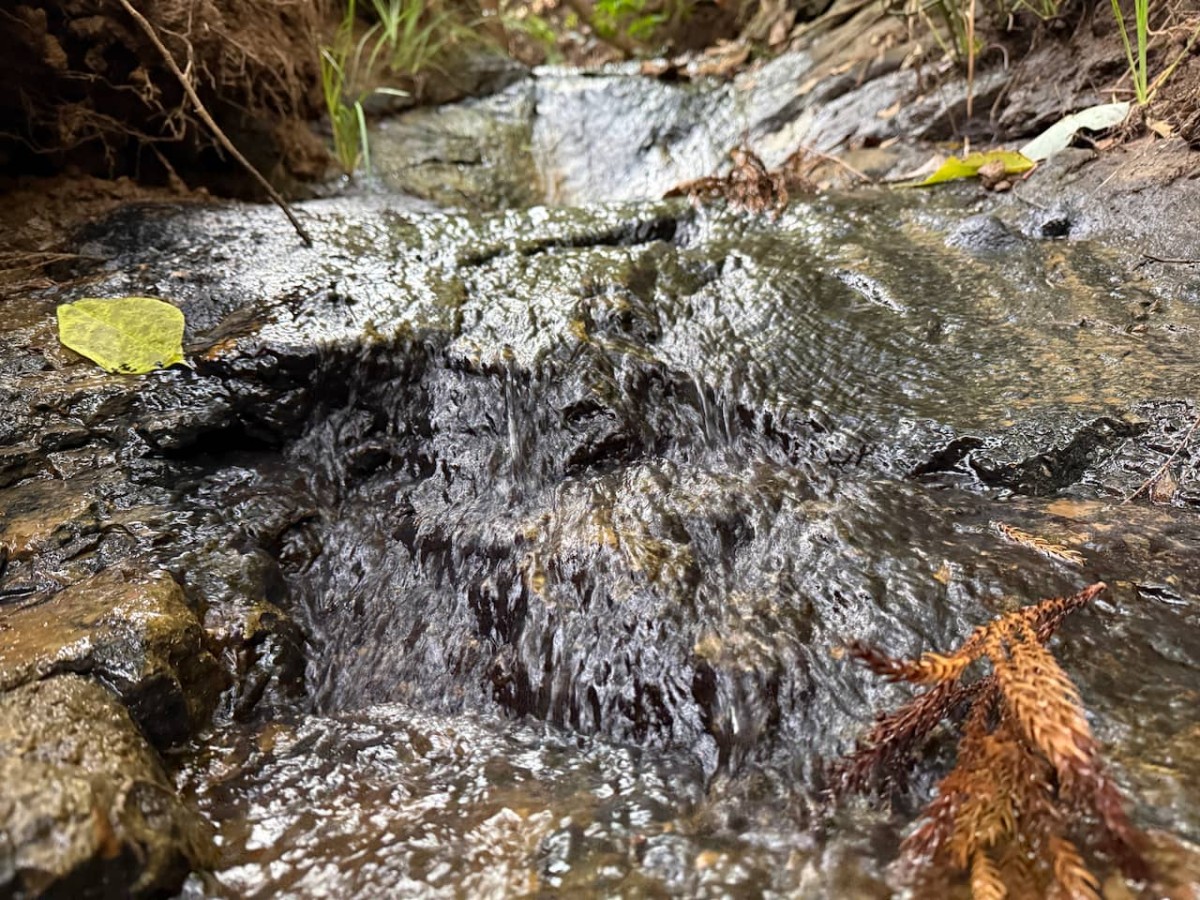 島根県大田市にある「弥栄キャンプ場」敷地内の小川