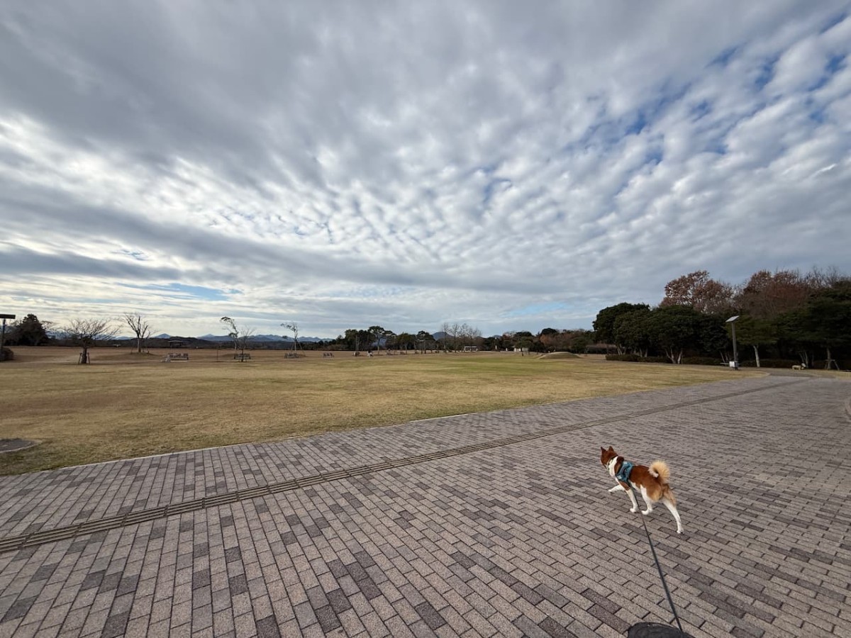 島根県益田市にある「万葉公園」の広場